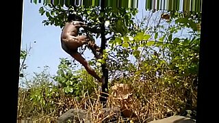 Ein indischer Schwuler erkundet einen Dschungel und eine wilde Begegnung.